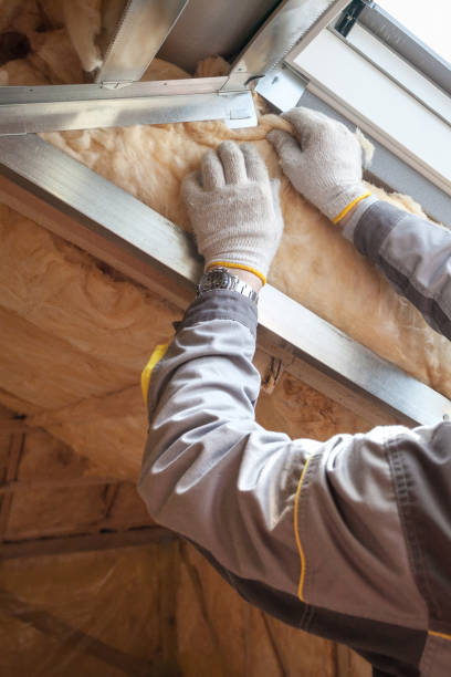 Types of Insulation We Offer in Meadow Glade, WA