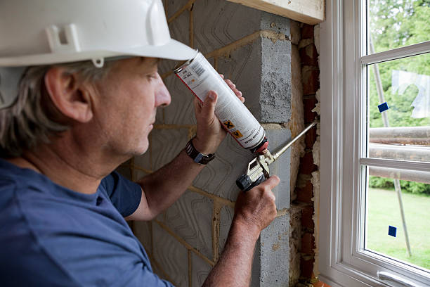 Best Insulation Maintenance and Repair in Meadow Glade, WA