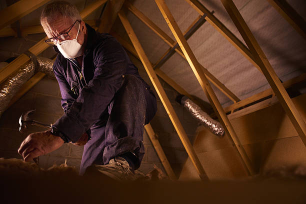 Best Cellulose Insulation in Meadow Glade, WA